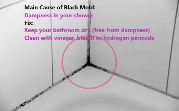 black mold on silicone