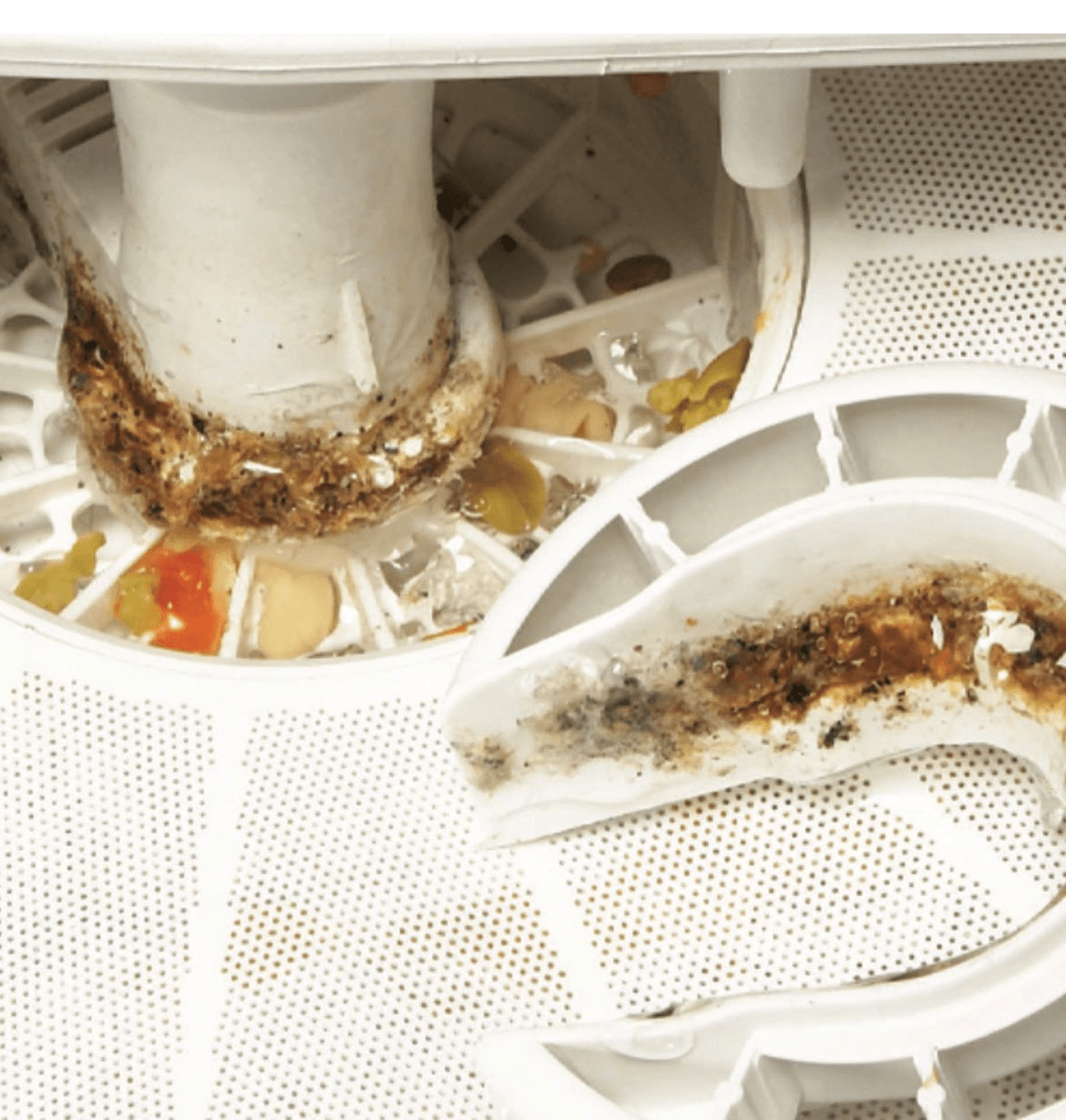 Finding the source of dishwasher odor