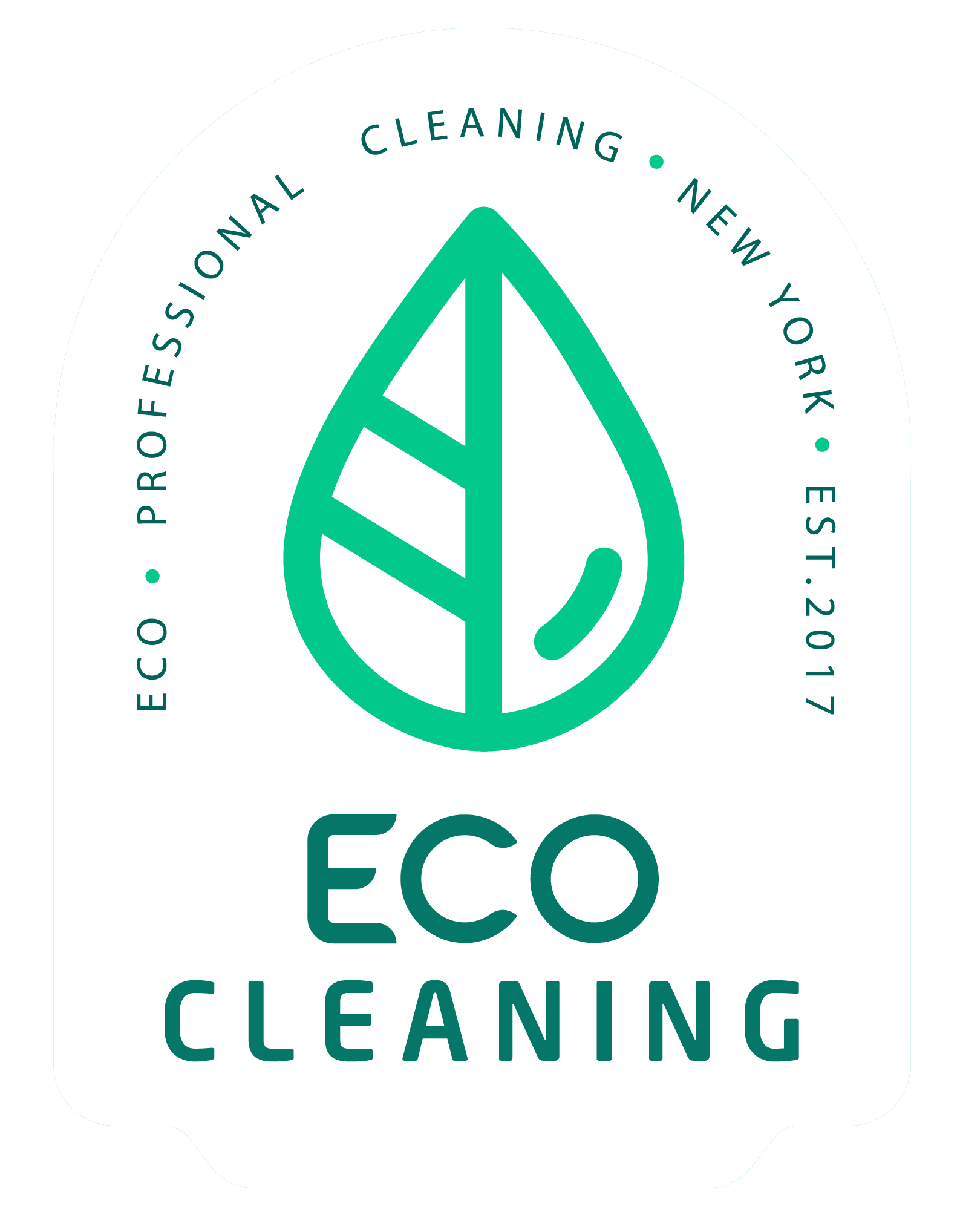 Eco Cleaning services for screens and electronics