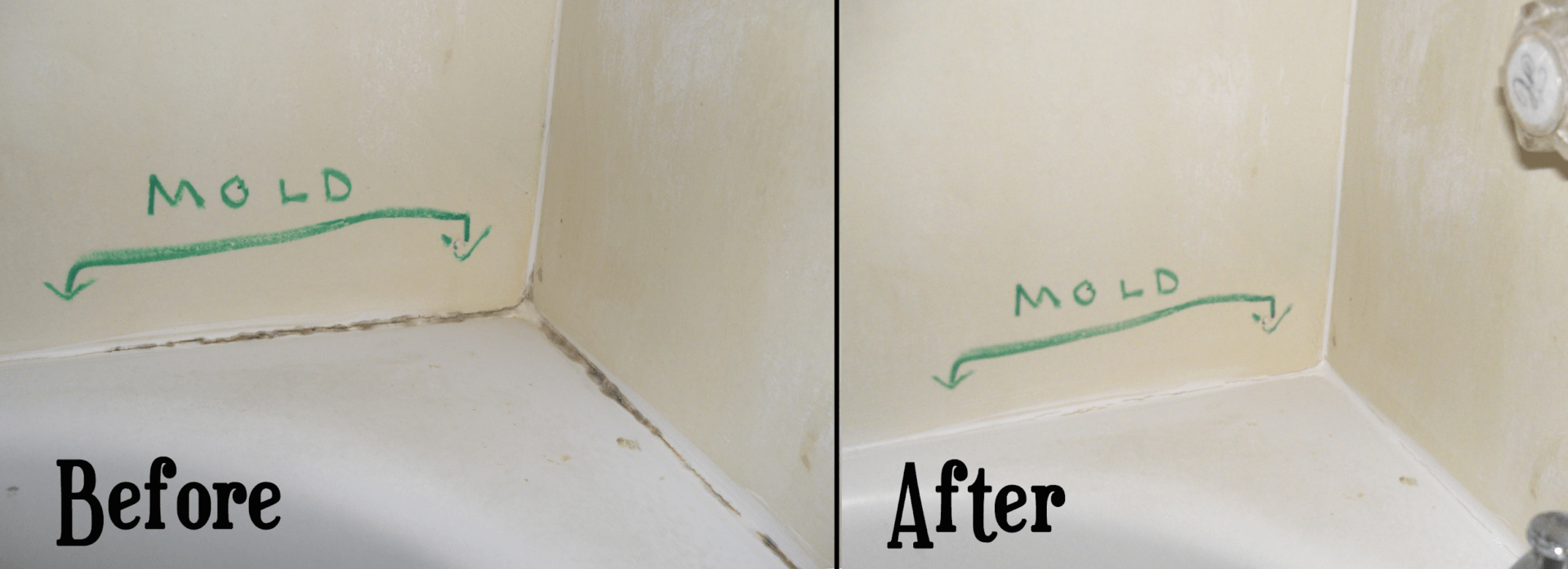 Inspecting how mold grows on caulk