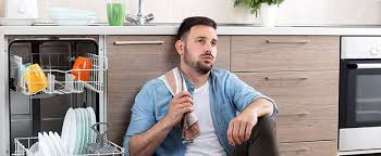 Dishwasher cleaning safety precautions