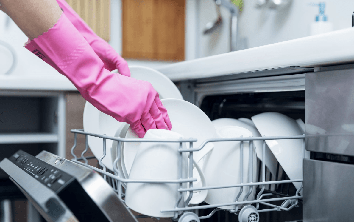Smelly Dishwasher Cleanin
