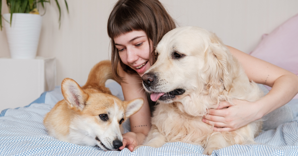 Pets can be a source of household odor