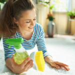 Eco-Friendly Carpet Cleaning
