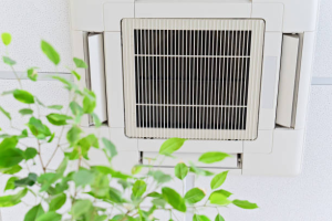 Eco Friendly Indoor Air Cleaning Is Essential For Healthy Living
