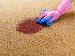 best non toxic carpet cleaner