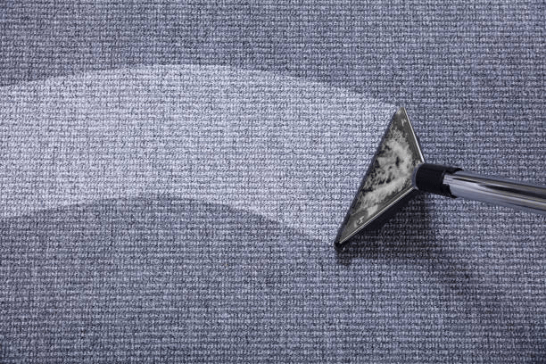eco carpet cleaning