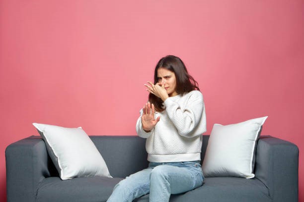 get smell out of couch