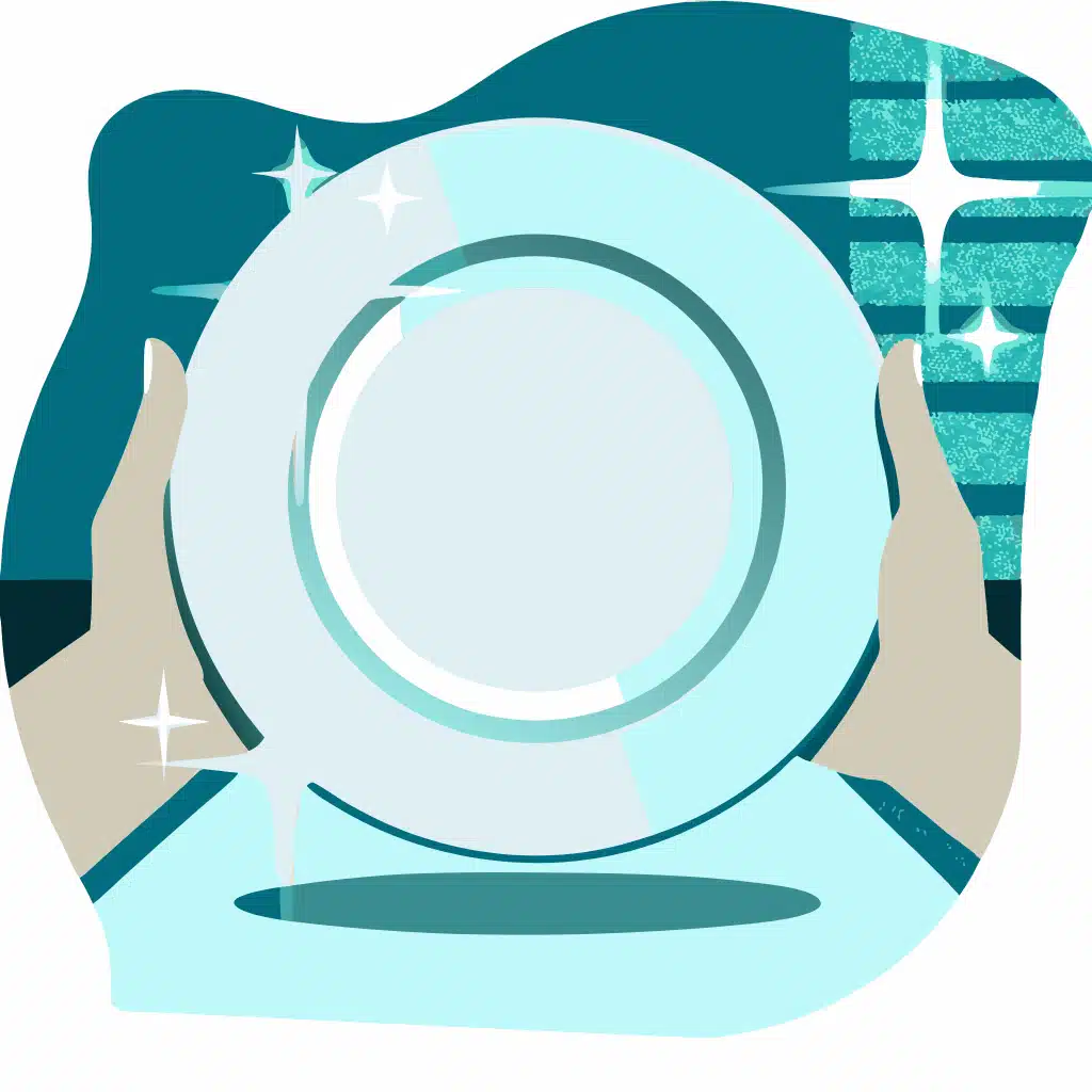 a sparkling clean plate representing dishwashing services