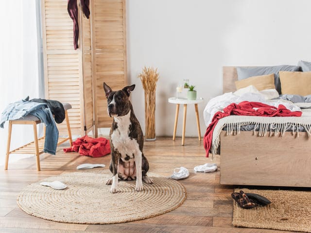 Cleaning Services in New Jersey